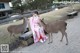 A woman in a pink kimono sitting on a bench next to two deer.